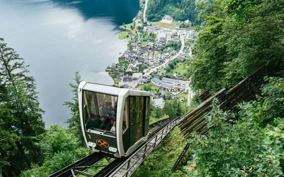 Van Wenen: Hallstatt en Alpentoppen met Skywalk-lift